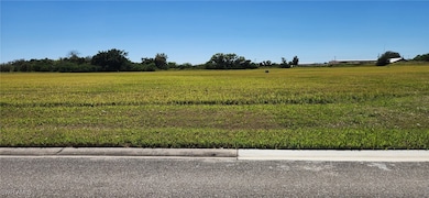 View of the lot