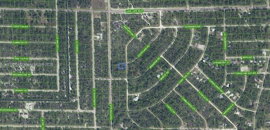 3292 Gossamer Ave, Lake Placid, FL 33852 - photo 2