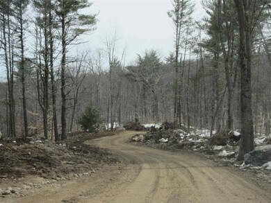 0 Horse Corner Rd unit Lot 2, Chichester, NH 03258 - photo 3