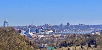 Skyline view