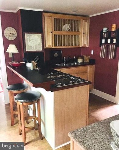 113 W End Ave, Cambridge, MD 21613 - photo 4
