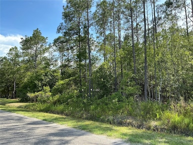 0 Crotty Ave unit 1, Hastings, FL 32145 - photo 2