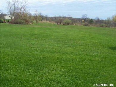 Yard/Garden