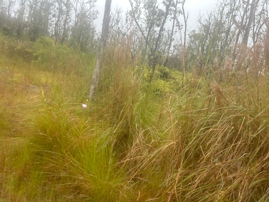 0 Ohialani Rd unit 723524, Volcano, HI 96785 - photo 5