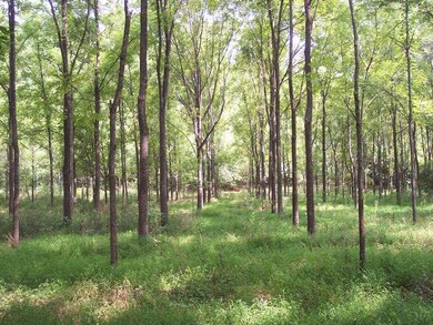 0 Madwind Point Point unit 102880, Dadeville, AL 36853 - photo 6