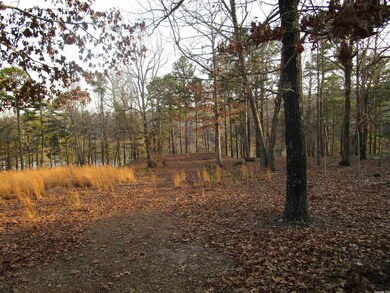 181 Quail Cove, Heber Springs, AR 72543 - photo 3