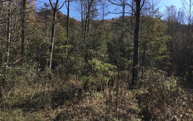 Additional View