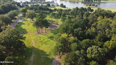 Annandale Property-10