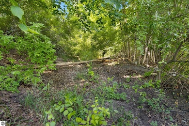 Lot 27 Bunker Hill Rd, Williamsburg, MI 49690 - photo 3