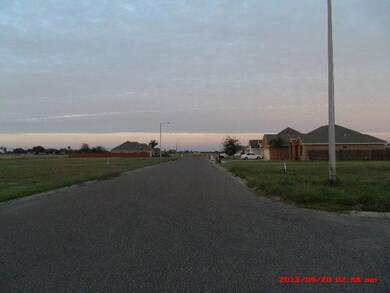 908 Villa Del Prado, Donna, TX 78537 - photo 3