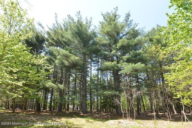 21 Raintree Ct, Holmdel, NJ 07733 - photo 7