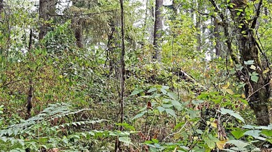 0 128th Ave E unit 1195099, Graham, WA 98338 - photo 5