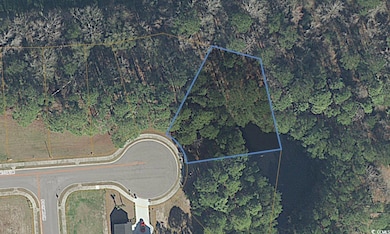 1000 MacCoa Dr unit Lot 415, Conway, SC 29526 - photo 6