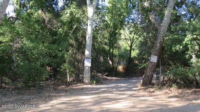 Drive between the two sycamores