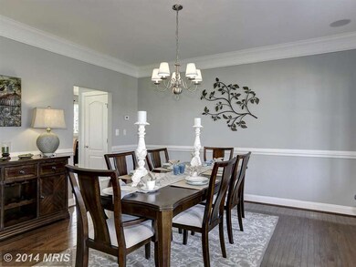 19001 Black Maple Way, Hagerstown, MD 21742 - photo 6