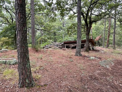 123 Sherman Rd, Moyers, OK 74523 - photo 6