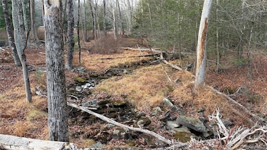 X Aldrich Rd, Wurtsboro, NY 12790 - photo 3