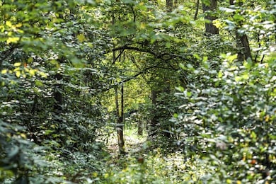 0 Evergreen Ln unit 7650667, Mineral Bluff, GA 30559 - photo 4