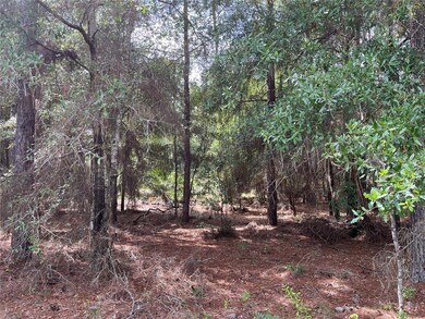 00 SW 206th Ct, Dunnellon, FL 34431 - photo 2