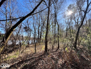 0 County Road 35 E, Lower Peach Tree, AL 36751 - photo 3