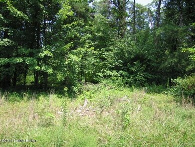 00 Knobview Ave, Lebanon Junction, KY 40150 - photo 2