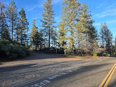 0 Donkey Mine Rd unit 25-5472, Oak Run, CA 96069 - photo 2