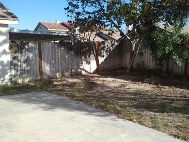 Back yard