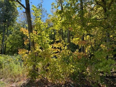 833 Township Road 754, Ashland, OH 44805 - photo 3