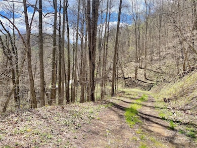 7858 Big Laurel Rd, Marshall, NC 28753 - photo 3