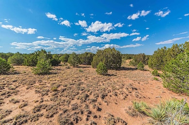 TBD Twin Lake Ranches Lot 140, Walsenburg, CO 81089 - photo 6