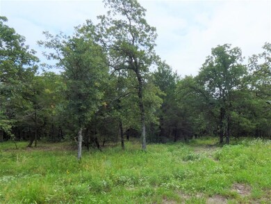 1395 County Road 2461 unit 2, Alvord, TX 76225 - photo 7