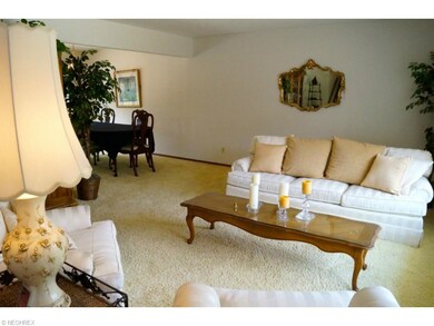 Living / dining combo. Great space.