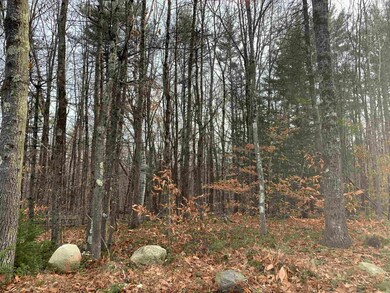 32 Neal Hill Rd, Center Tuftonboro, NH 03816 - photo 3