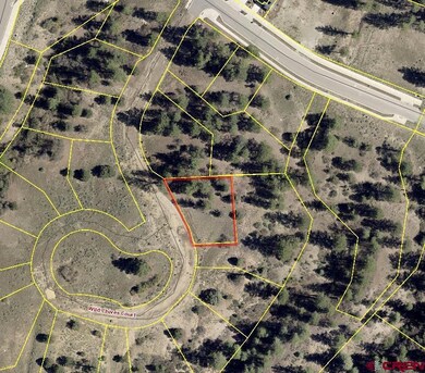 89 Wild Chives Court (Lot 115), Durango, CO 81301 - photo 3