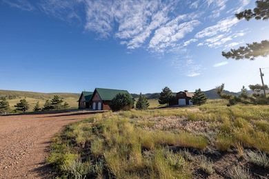 11881 Red Feather Lakes Rd, Livermore, CO 80536 - photo 4