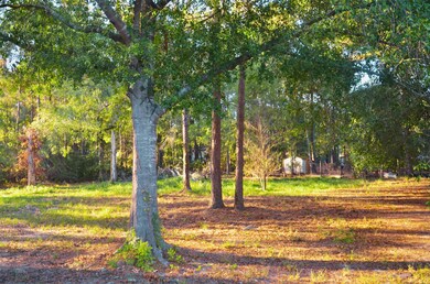 161 Woodman Dr, Cleveland, TX 77328 - photo 4