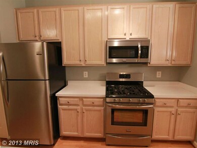 46608 Drysdale Terrace unit 102, Sterling, VA 20165 - photo 4