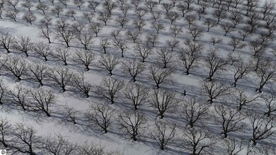 0 N Manitou Trail unit 1941216, Northport, MI 49670 - photo 7