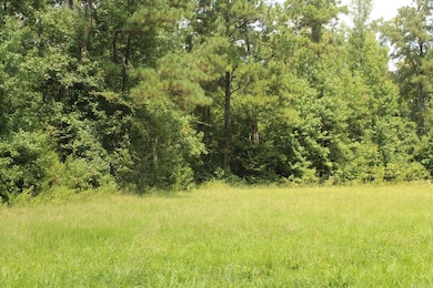 437 Billstown Rd, Delight, AR 71940 - photo 7