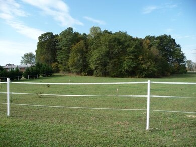 449 Meadow Rd, Inman, SC 29349 - photo 2