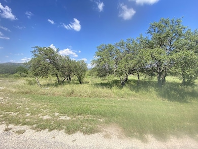 000 Mockingbird Ln unit 45, Camp Wood, TX 78833 - photo 5