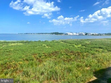 37191 Harbor Dr unit 3204, Ocean View, DE 19970 - photo 3