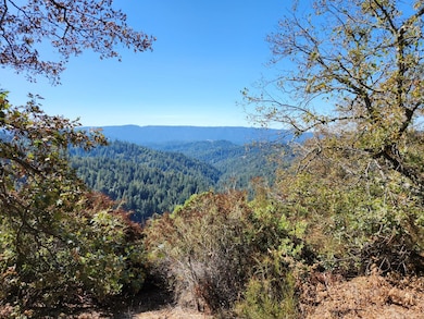 0 Conley Creek unit ML82011082, San Lorenzo Valley, CA 95006 - photo 6