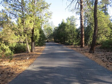 Driveway to Home