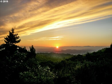 712 NW Spring Ave, Portland, OR 97229 - photo 7