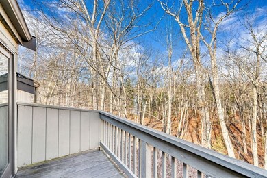 233 Aspen Cir, Lincoln, MA 01773 - photo 5