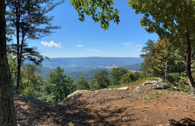 0 Crockett Point unit RTC2720147, Jasper, TN 37347 - photo 7