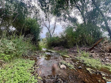 5 Chestnut St unit Tracts 1A and 1B, Mimbres, NM 88049 - photo 7