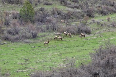 54 W Magpie Creek Rd, Dixon, MT 59831 - photo 5