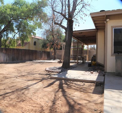 Backyard 1